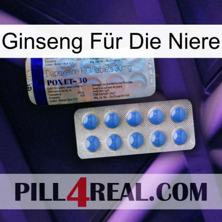 Ginseng Für Die Niere 39